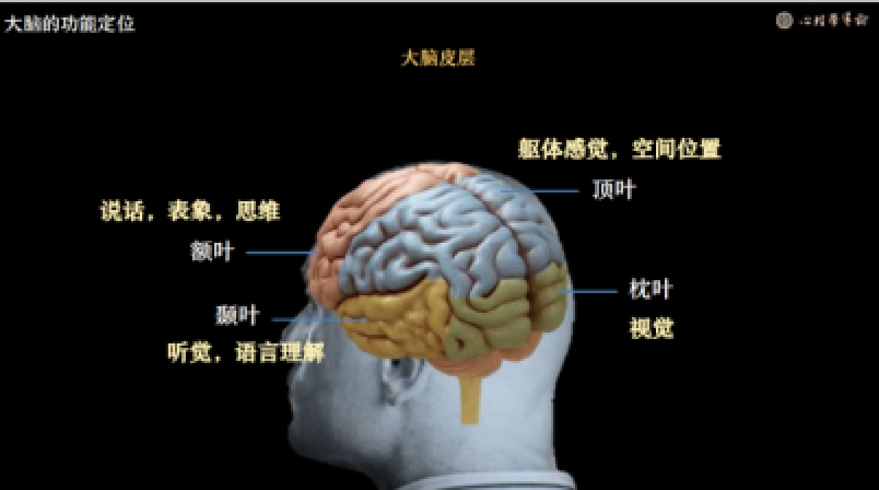 image-20250518144319510